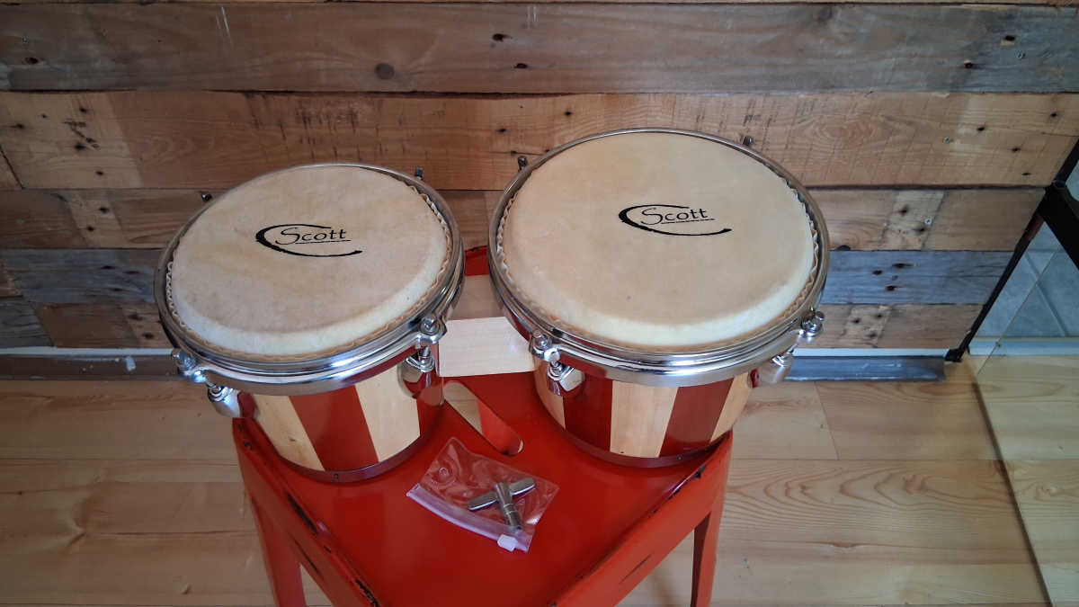 Scott Bongos